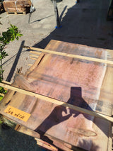 Sequoia (st)