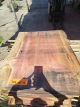 Sequoia (st)