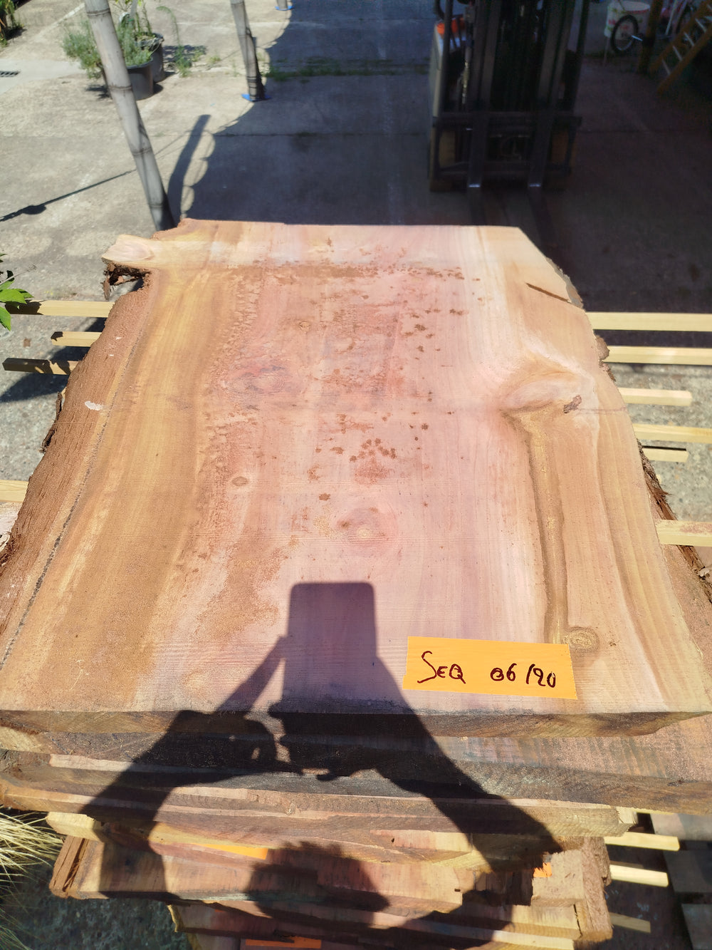 Sequoia (st)