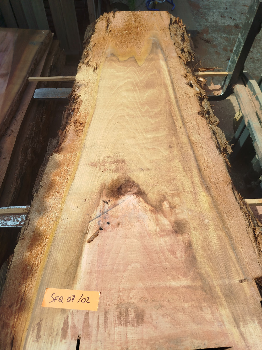 Sequoia (st)