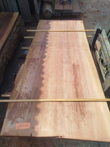 Sequoia (st)
