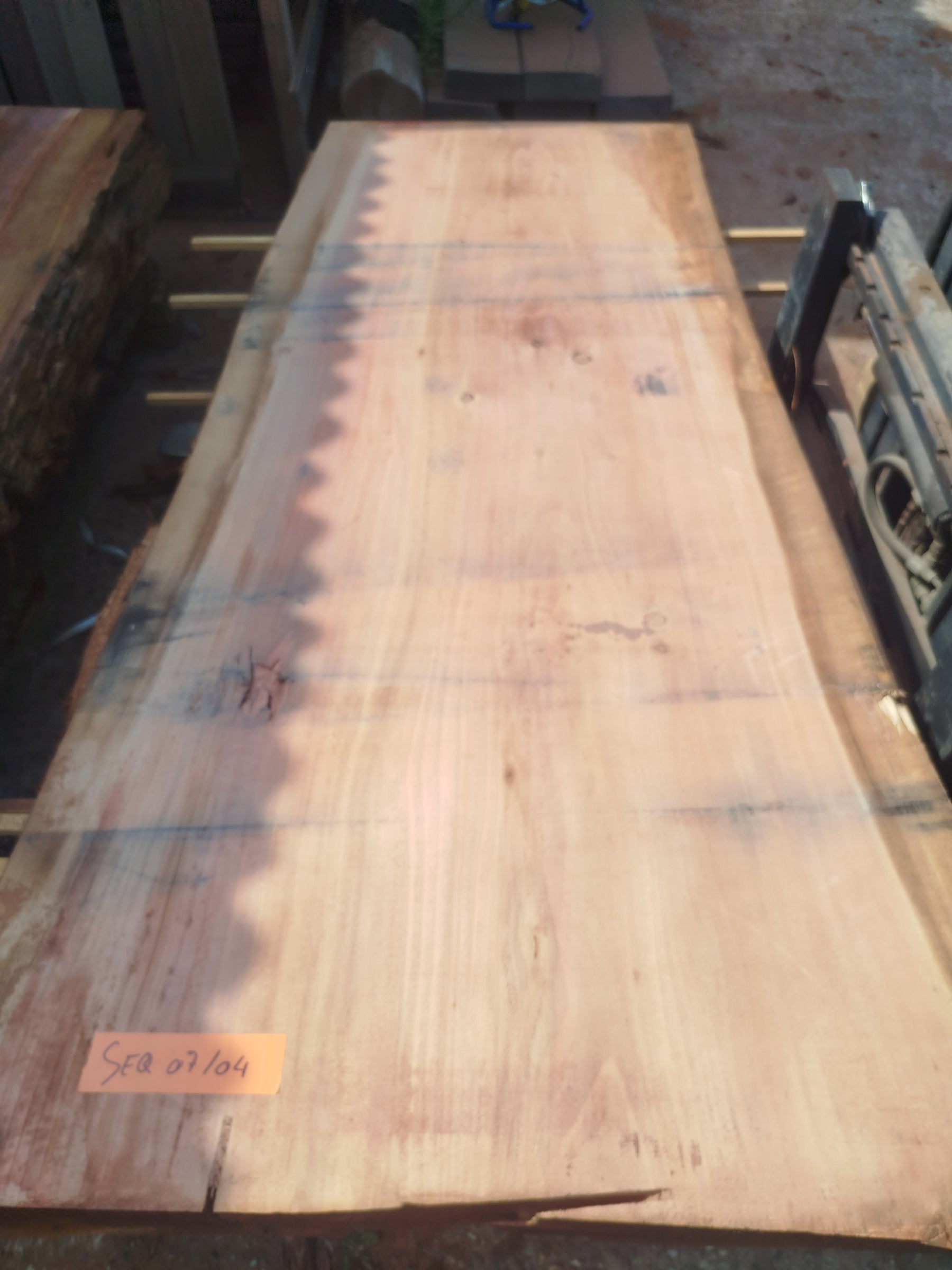 Sequoia (st)