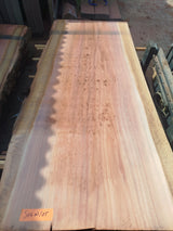 Sequoia (st)