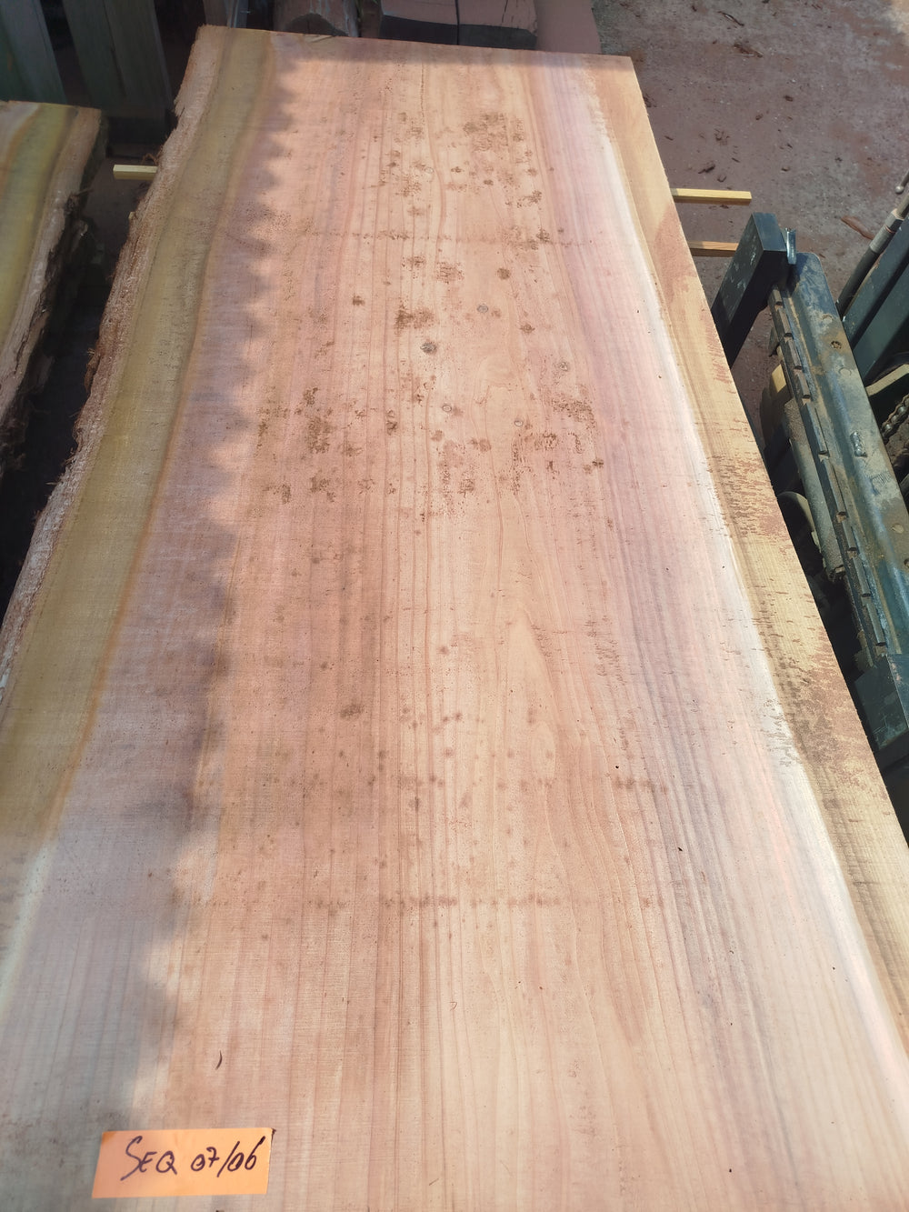 Sequoia (st)
