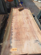 Sequoia (st)