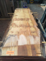 Sequoia (st)