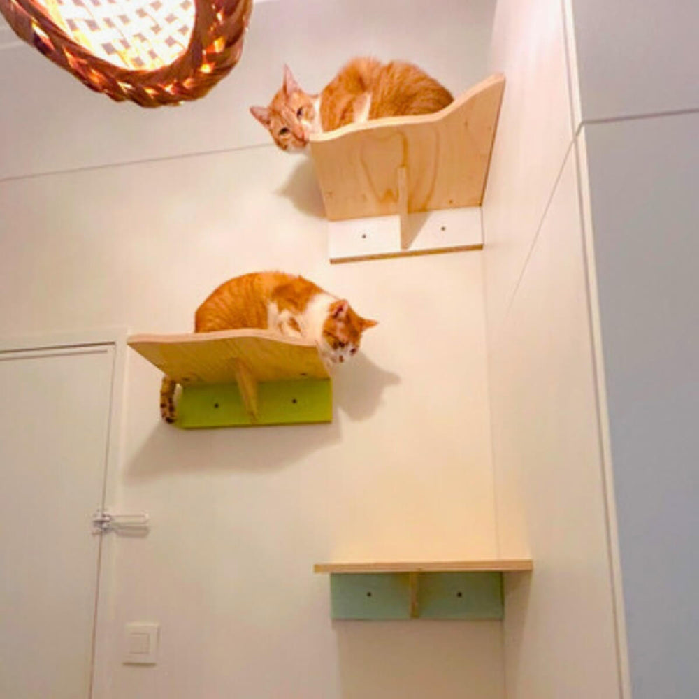 HUISDIERENSPECIAL - HELE DAG WEEKENDWORKSHOP