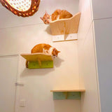 HUISDIERENSPECIAL - HELE DAG WEEKENDWORKSHOP