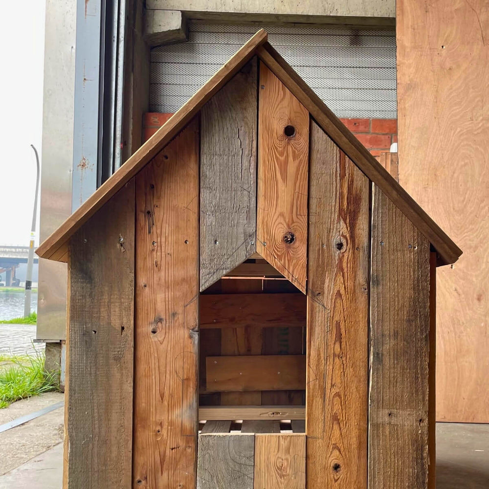 HUISDIERENSPECIAL - HELE DAG WEEKENDWORKSHOP