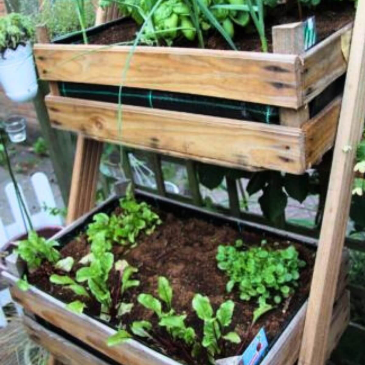 MOESTUINBAK - HELE DAG WEEKENDWORKSHOP
