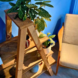 PLANTENTAFEL - HALVE DAG WORKSHOP