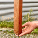 Terrasonderliggers Sipo